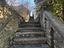 Immagine 10