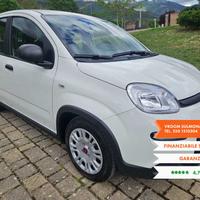 FIAT Panda 3� serie Panda 1.0 FireFly S&S Hybrid