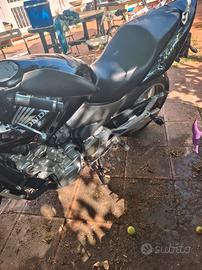 Honda Hornet 