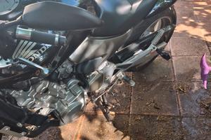 Honda Hornet 
