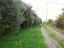 Immagine 25