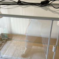 Terrario per Rettili