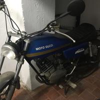 Moto Guzzi Nibbio - 1974