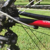 Bicicletta Bianchi C2C