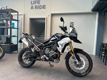 Triumph Tiger Rally PRO