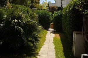 Multiproprietà victor village