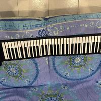 Pianoforte elettronico pieghevole