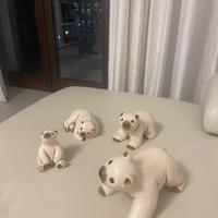 Famiglia degli orsi thun