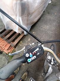 bici elettrica 