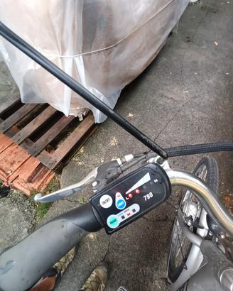 bici elettrica 