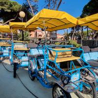Risciò ciclocarrozzella usato