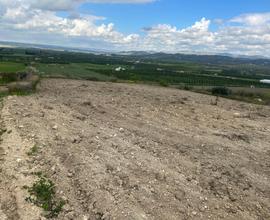 Terreno a Noto (SR)