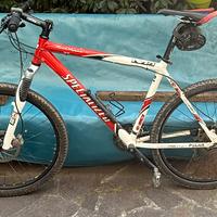 Mtb bicicletta