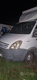 Iveco Daily Cassonato