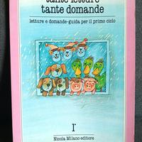 Libro vintage bambini Tante letture tante domande