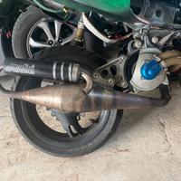 Marmitta polini evo 3 minarelli orizzontale