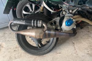 Marmitta polini evo 3 minarelli orizzontale