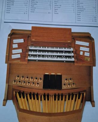 Organo GEM CONCERTO