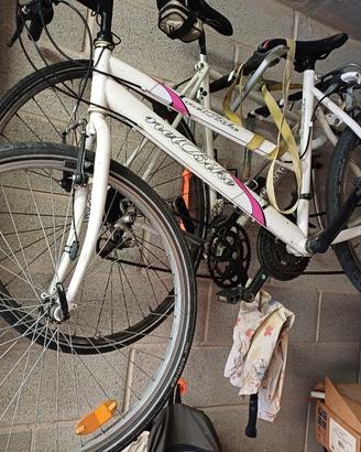 mtb 26"  donna 