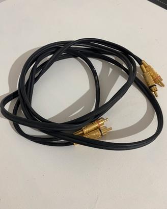 Cavo Audio Stereo