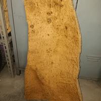 corteccia sughero sardo