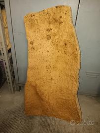 corteccia sughero sardo