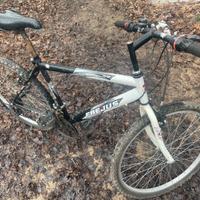 Bici da uomo