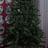 Albero di Natale.