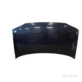 COFANO ANTERIORE FORD Galaxy Serie (VX) 1077566 (9