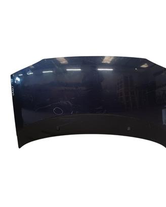 COFANO ANTERIORE FORD Galaxy Serie (VX) 1077566 (9