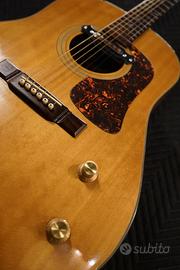CHITARRA ACUSTICA WASHBURN D25S AMPLIFICATA