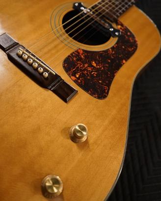 CHITARRA ACUSTICA WASHBURN D25S AMPLIFICATA