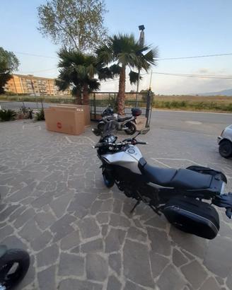 YAMAHA TRACER 900