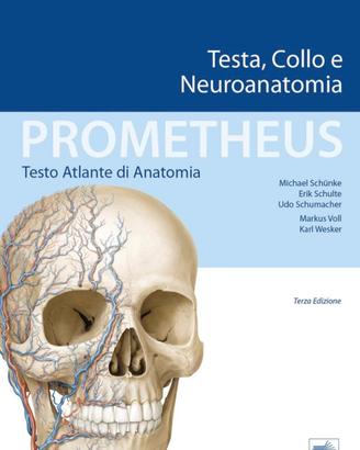  Prometheus Atlante testa e collo nuovo