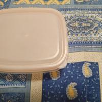 2 contenitori plastica per alimenti