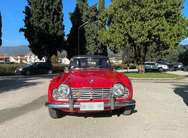 Triumph tr4