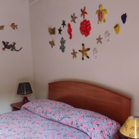 Affitta Vulcano isole