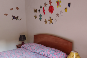 Affitta Vulcano isole