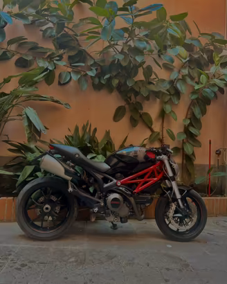 ducati monster 796 X cavallo
