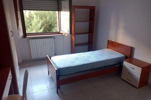 Stanza singola per ragazze Cosenza Centro