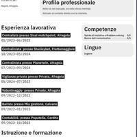 Occupazione lavorativa