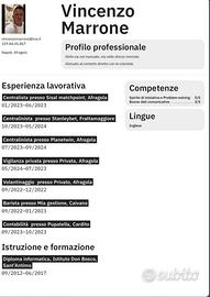 Occupazione lavorativa