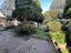 Immagine 25