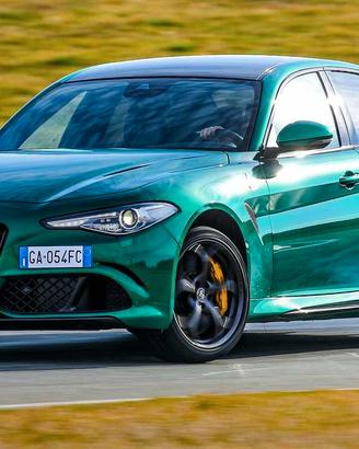Ricambi Alfa Romeo Giulia Stelvio  Tonale  