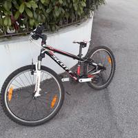 mountain bike 