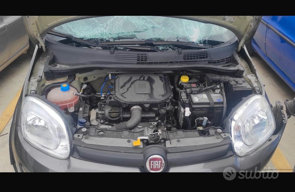 Fiat Panda 2022 photo 2