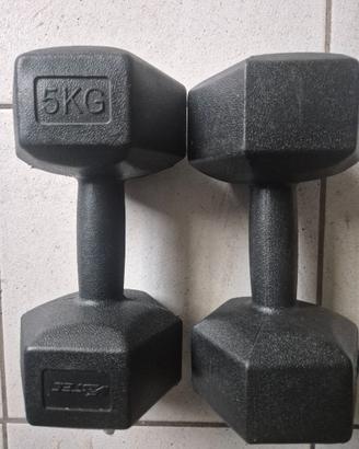 Manubri 5 kg