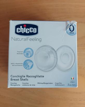 Conchiglie raccoglilatte chicco