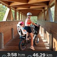 Bici elettrica 