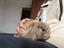 Immagine 2